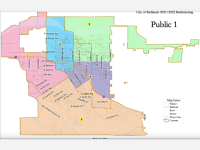 Council Approves Public Map 1